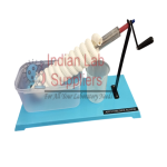 Archimedes’ Screw Model STEM Science Lab Demonstration Model